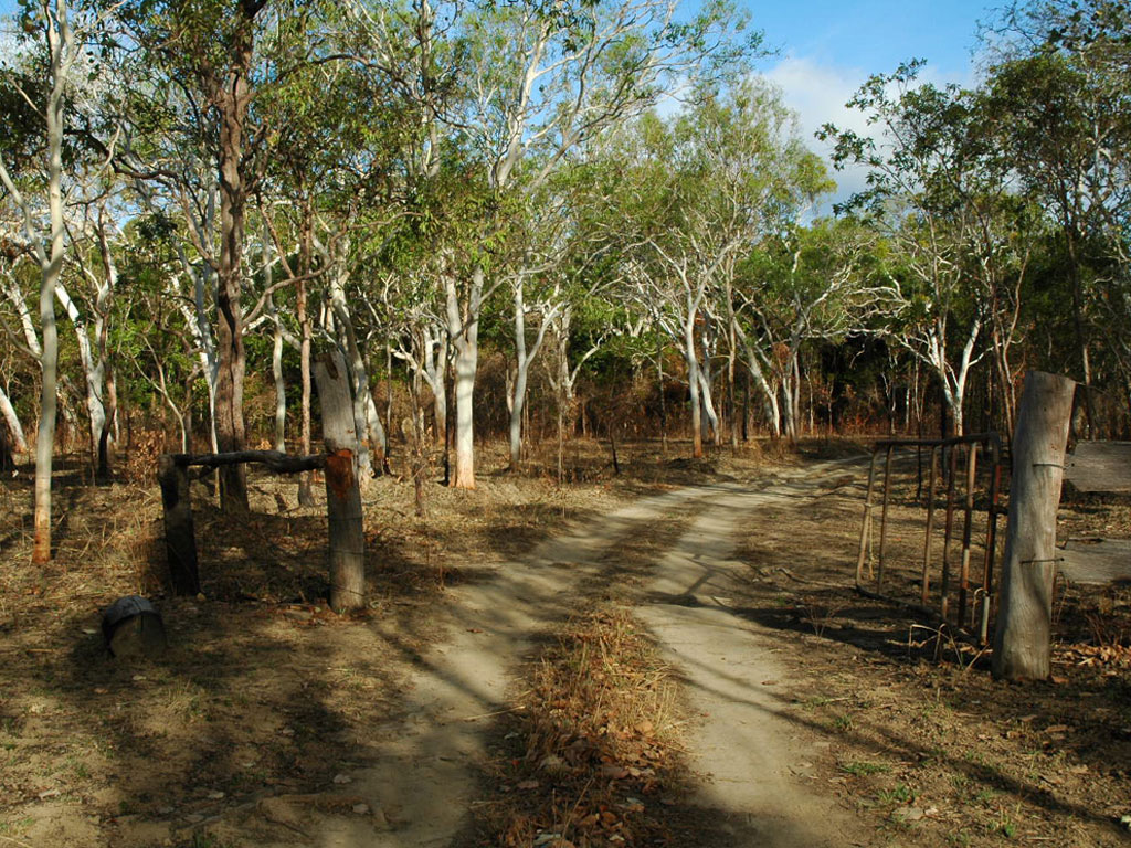 Country Road, Cape York Peninsula