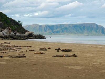 King Tide