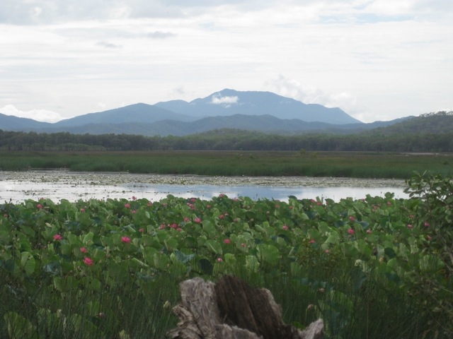 Kings Plains Lagoon