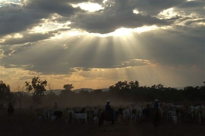 Mustering