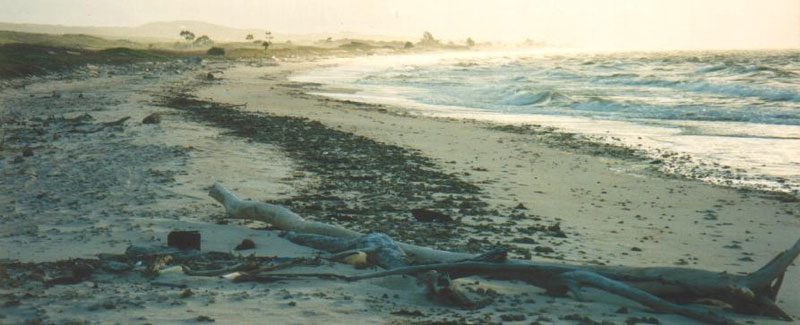 Remote beach, East Cape