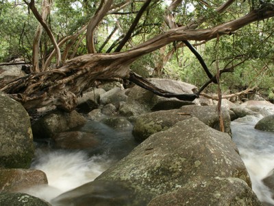 Below Trevethan Falls