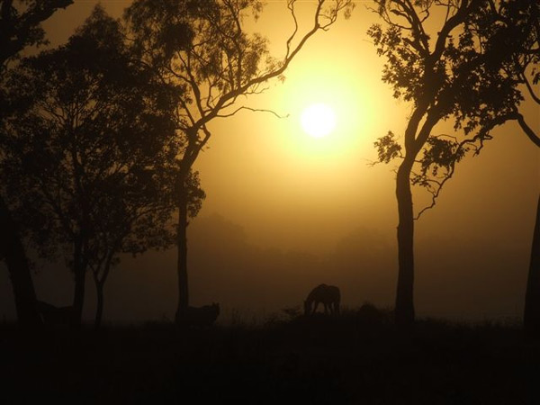 Winter Morning Sun