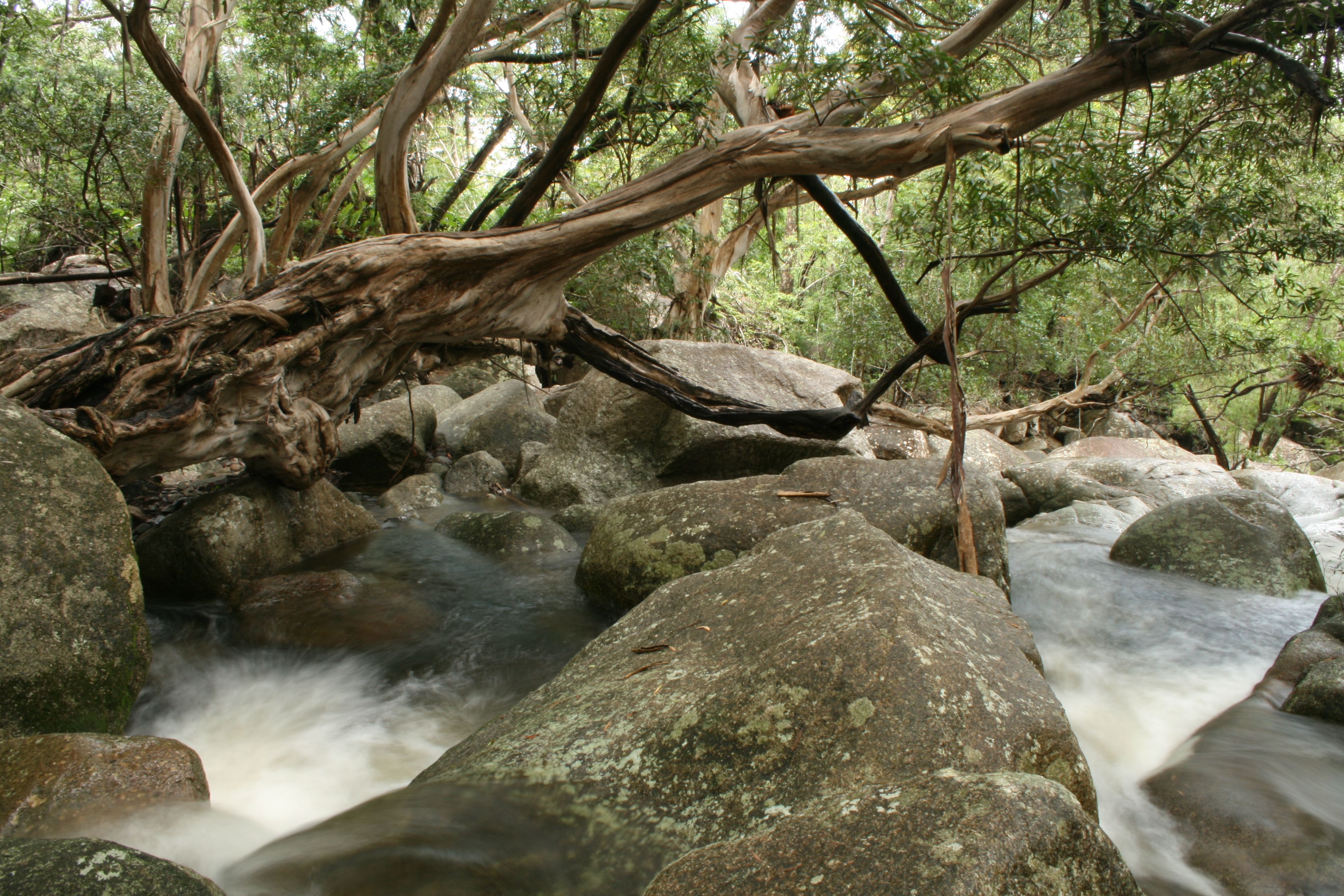 Below_Trevethan_Falls_-vanessa.JPG