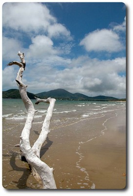 Cooktown View