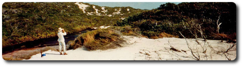 Exploring Shelburne Bay Dunes