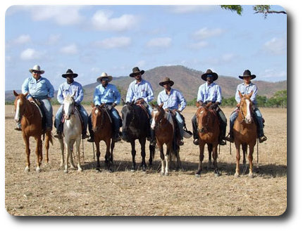 Indigenous Trainees