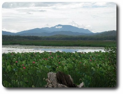 Kings Plains Lagoon