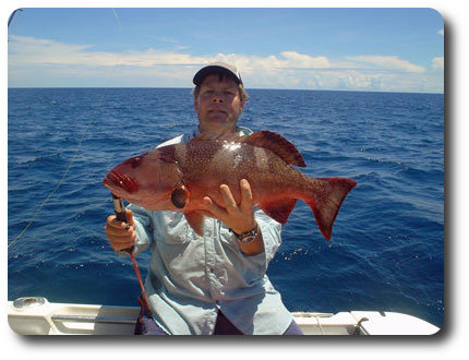 Cooktown Fishing