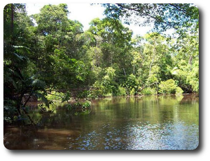 Endeavour River North arm