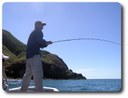 Fishing at the Heads. Courtesy Gone Fishing