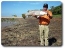 Cape York heli fishing. Courtesy Tony Lickiss