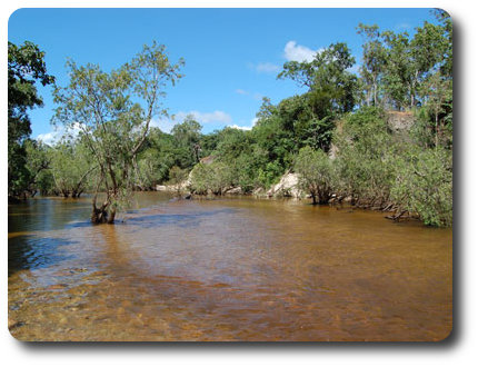 Pascoe River