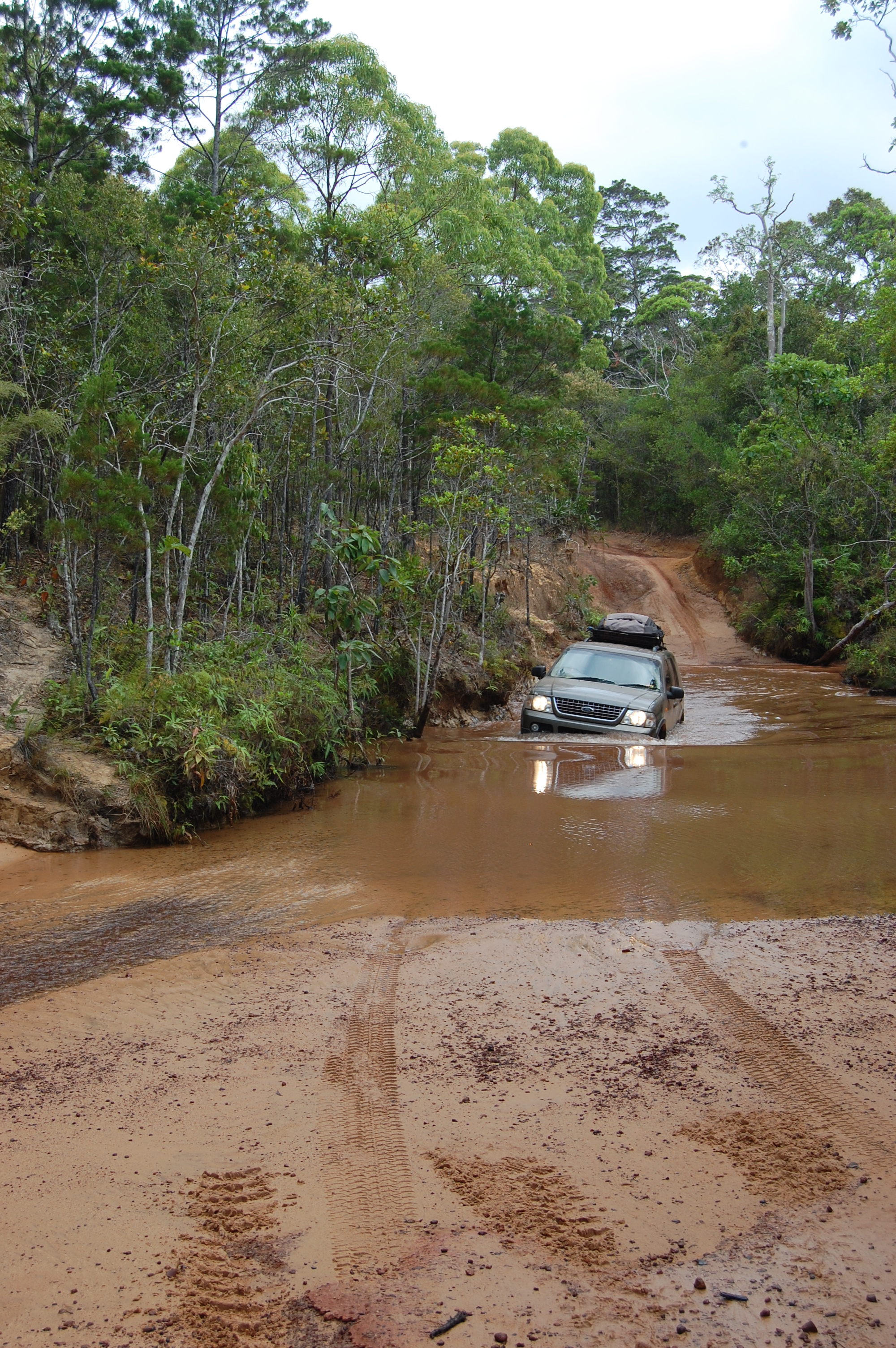 Old Telegraph Track