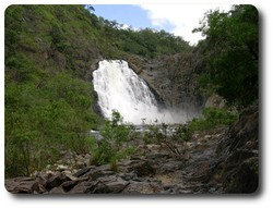 Bloomfield waterfalls