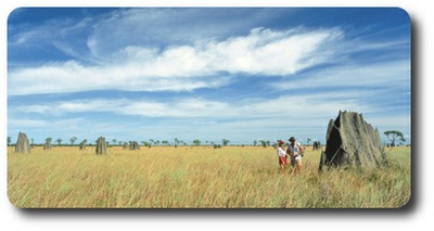 Ant Hills, Lakefield National Park, Queensland