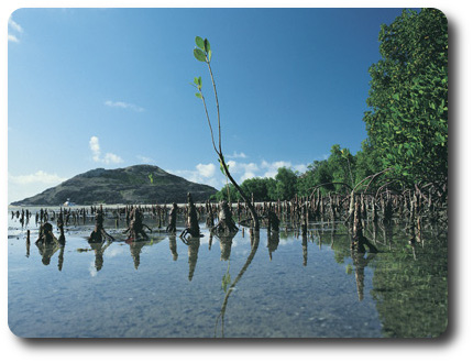 Cape York Peninsula, Queensland