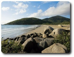 Finch Bay, Queensland. Courtesy Tourism Queensland