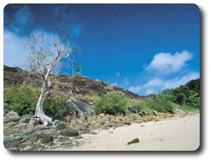 Frangipani Beach, Cape York, Queensland