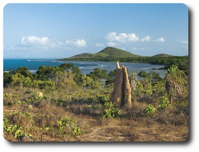 Horn Island, Queensland