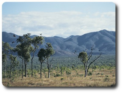 Mountain Ranges, Cape York, Queensland