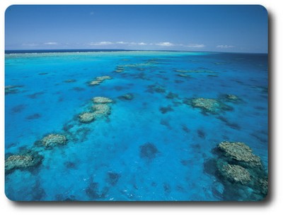 Ribbon Reefs, Queensland