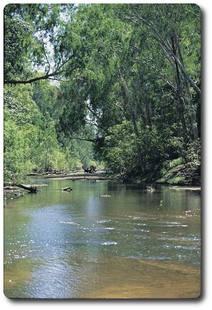 River Crossing on Battlecamp Road, Queensland