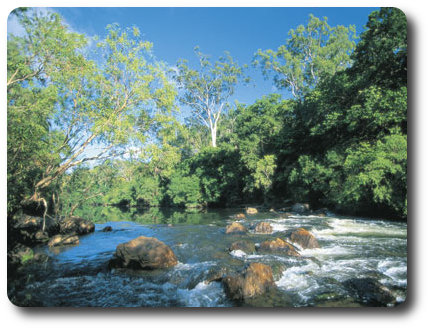 River Gorge, Queensland