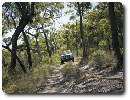 Rock Art Tours