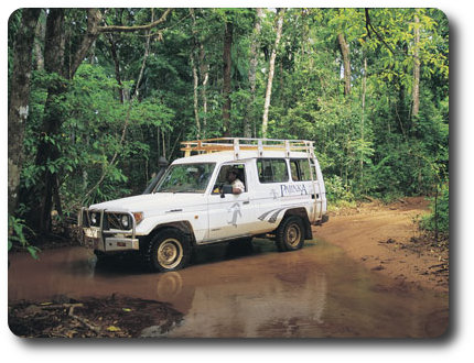 Touring Through Cape York