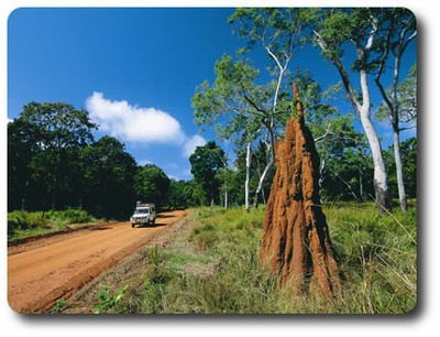 Touring Through Cape York