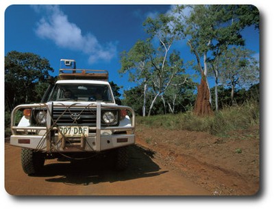 Touring Through Cape York